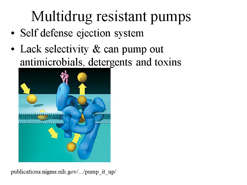 Multidrug resistant pumps Self defense ejection system Lack selectivity & can pump out antimicrobials,